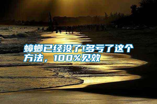蟑螂已經(jīng)沒了!多虧了這個(gè)方法，100%見效