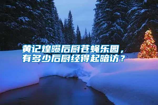 黃記煌曝后廚蒼蠅樂園， 有多少后廚經得起暗訪？