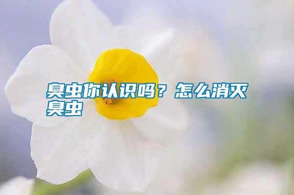 臭蟲你認(rèn)識嗎？怎么消滅臭蟲