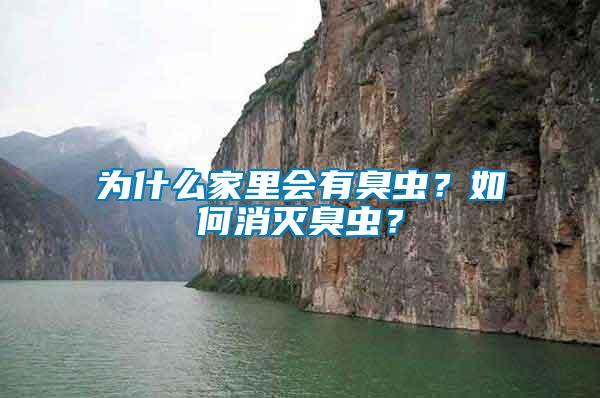 為什么家里會(huì)有臭蟲？如何消滅臭蟲？