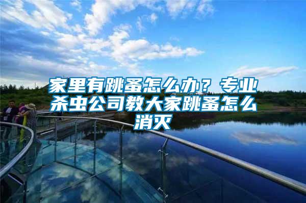 家里有跳蚤怎么辦？專業殺蟲公司教大家跳蚤怎么消滅