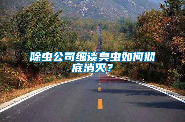 除蟲公司細談臭蟲如何徹底消滅？