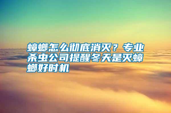 蟑螂怎么徹底消滅？專業殺蟲公司提醒冬天是滅蟑螂好時機