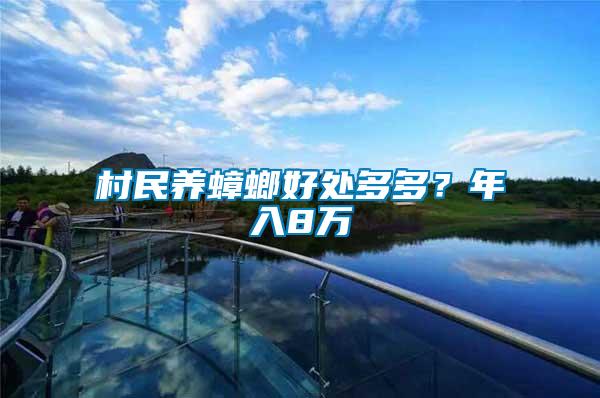 村民養蟑螂好處多多？年入8萬
