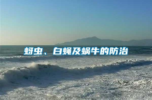 蚜蟲(chóng)、白蠅及蝸牛的防治