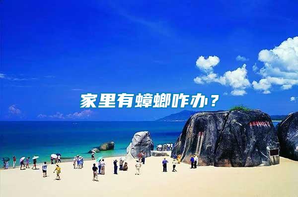 家里有蟑螂咋辦？