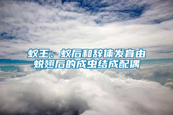 蟻王、蟻后和辭體發(fā)育由蛻翅后的成蟲結成配偶