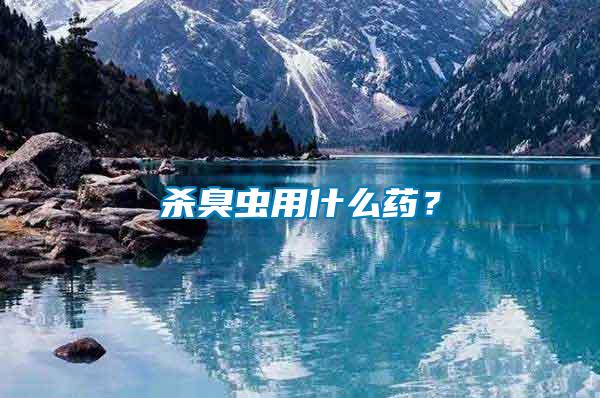 殺臭蟲用什么藥？