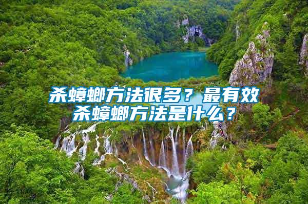 殺蟑螂方法很多？最有效殺蟑螂方法是什么？