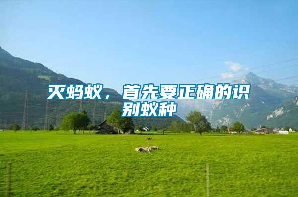 滅螞蟻，首先要正確的識(shí)別蟻種