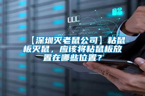 【深圳滅老鼠公司】粘鼠板滅鼠，應(yīng)該將粘鼠板放置在哪些位置？