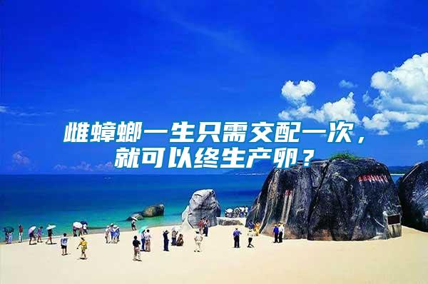 雌蟑螂一生只需交配一次，就可以終生產(chǎn)卵？