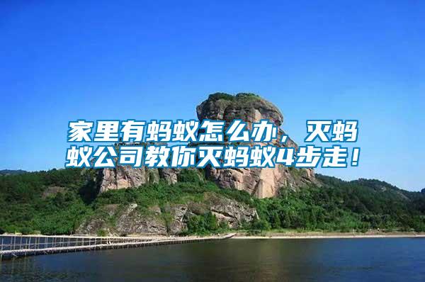家里有螞蟻怎么辦，滅螞蟻公司教你滅螞蟻4步走！