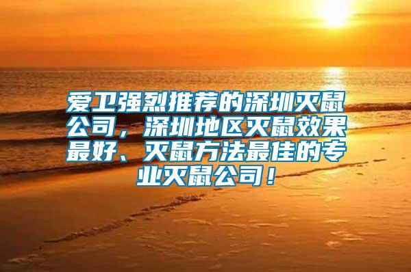 愛衛(wèi)強(qiáng)烈推薦的深圳滅鼠公司，深圳地區(qū)滅鼠效果最好、滅鼠方法最佳的專業(yè)滅鼠公司！