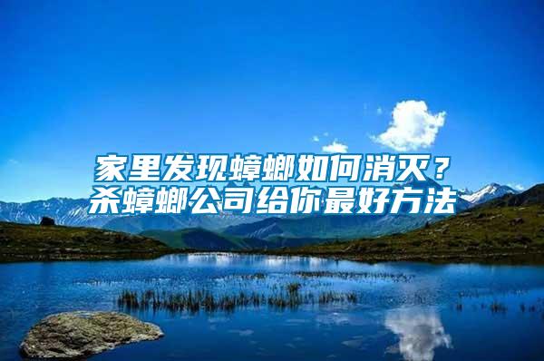 家里發(fā)現(xiàn)蟑螂如何消滅？殺蟑螂公司給你最好方法