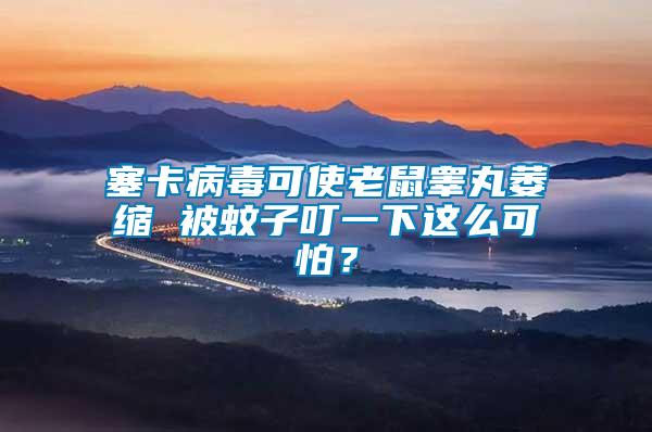 塞卡病毒可使老鼠睪丸萎縮 被蚊子叮一下這么可怕？