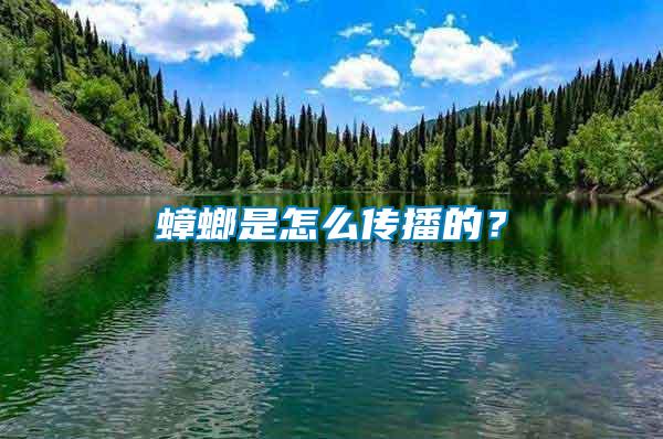 蟑螂是怎么傳播的？