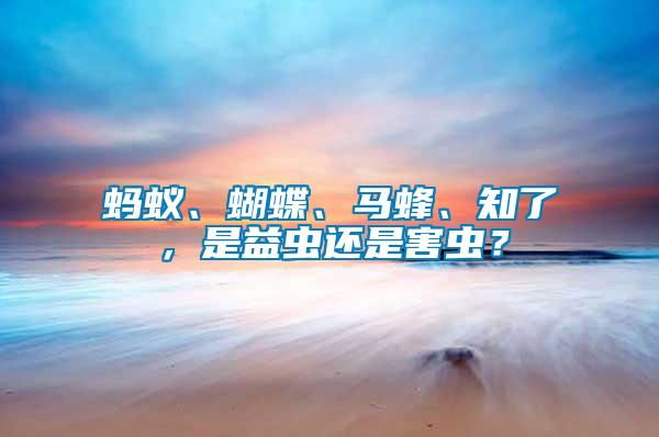 螞蟻、蝴蝶、馬蜂、知了，是益蟲還是害蟲？