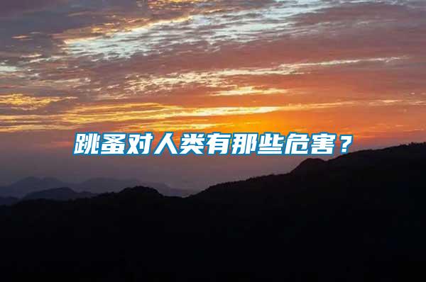 跳蚤對人類有那些危害？