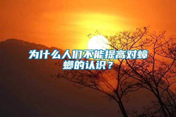 為什么人們不能提高對蟑螂的認識？