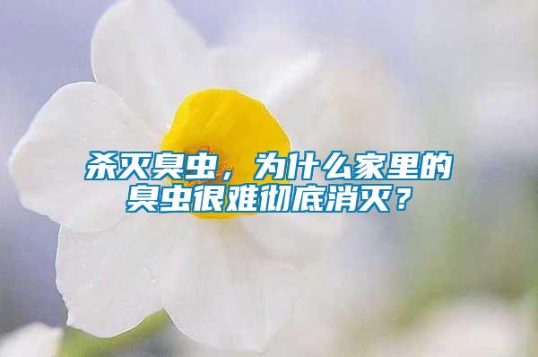 殺滅臭蟲(chóng)，為什么家里的臭蟲(chóng)很難徹底消滅？
