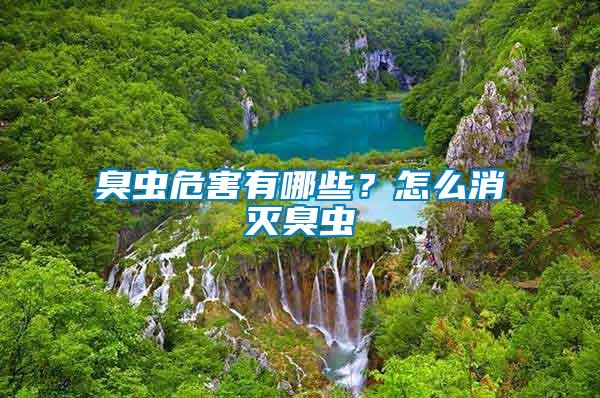 臭蟲(chóng)危害有哪些？怎么消滅臭蟲(chóng)