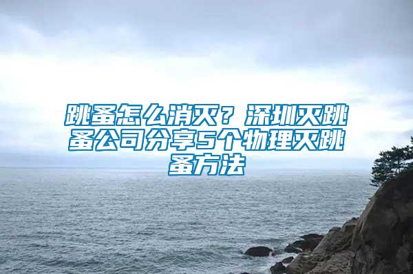 跳蚤怎么消滅？深圳滅跳蚤公司分享5個物理滅跳蚤方法