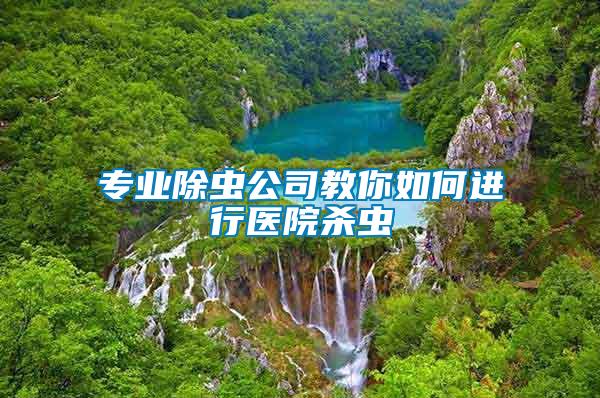 專(zhuān)業(yè)除蟲(chóng)公司教你如何進(jìn)行醫(yī)院殺蟲(chóng)