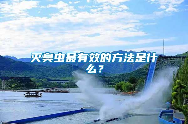 滅臭蟲最有效的方法是什么？