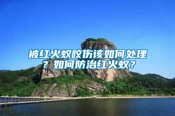 被紅火蟻咬傷該如何處理？如何防治紅火蟻？