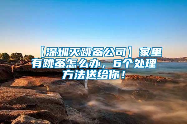 【深圳滅跳蚤公司】家里有跳蚤怎么辦，6個(gè)處理方法送給你！