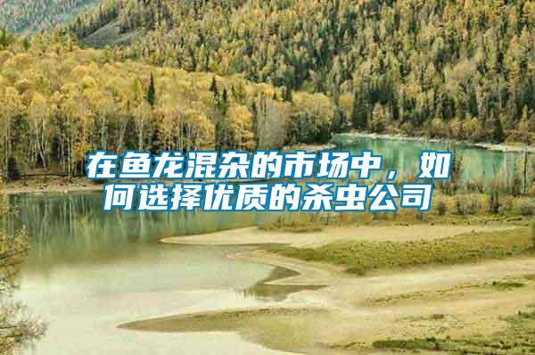 在魚龍混雜的市場中，如何選擇優質的殺蟲公司