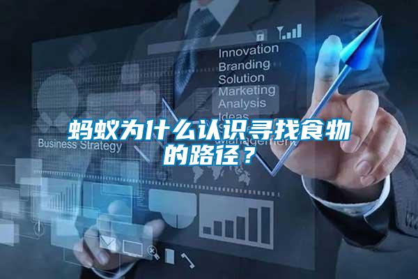 螞蟻為什么認(rèn)識(shí)尋找食物的路徑？