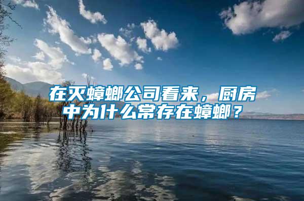 在滅蟑螂公司看來(lái)，廚房中為什么常存在蟑螂？
