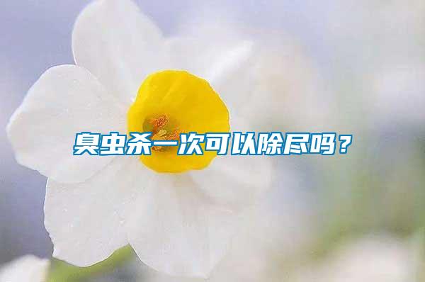 臭蟲殺一次可以除盡嗎？