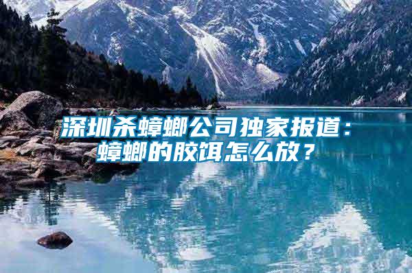 深圳殺蟑螂公司獨(dú)家報道：蟑螂的膠餌怎么放？