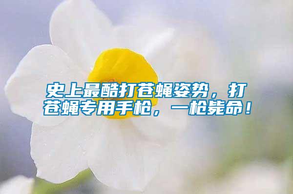 史上最酷打蒼蠅姿勢，打蒼蠅專用手槍，一槍斃命！