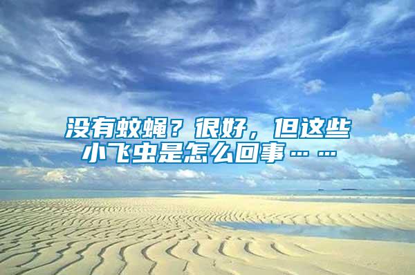 沒(méi)有蚊蠅？很好，但這些小飛蟲是怎么回事……