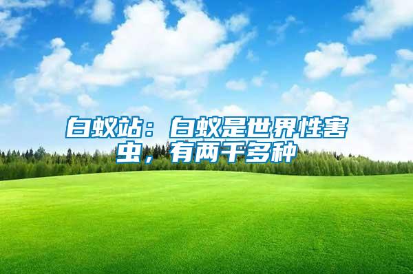 白蟻站：白蟻是世界性害蟲，有兩千多種