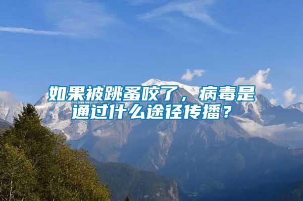 如果被跳蚤咬了，病毒是通過什么途徑傳播？