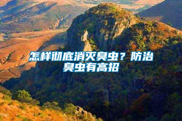怎樣徹底消滅臭蟲？防治臭蟲有高招