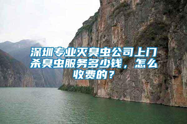 深圳專業滅臭蟲公司上門殺臭蟲服務多少錢，怎么收費的？