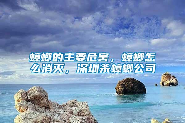 蟑螂的主要危害，蟑螂怎么消滅，深圳殺蟑螂公司