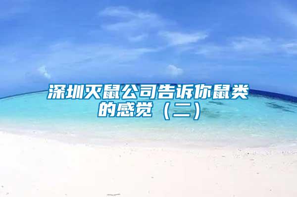 深圳滅鼠公司告訴你鼠類的感覺(jué)（二）