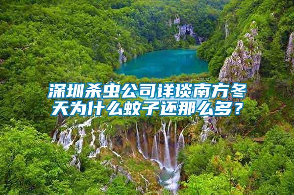 深圳殺蟲公司詳談南方冬天為什么蚊子還那么多?