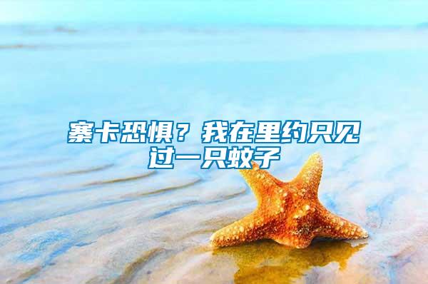 寨卡恐懼？我在里約只見過一只蚊子