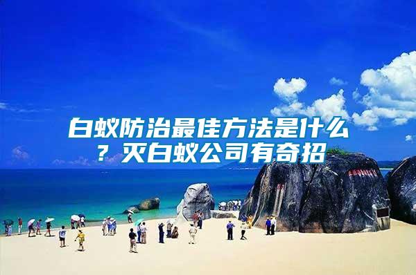 白蟻防治最佳方法是什么？滅白蟻公司有奇招