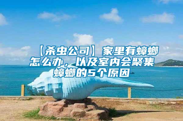 【殺蟲公司】家里有蟑螂怎么辦，以及室內會聚集蟑螂的5個原因