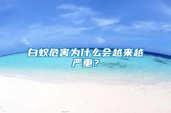 白蟻危害為什么會(huì)越來越嚴(yán)重？