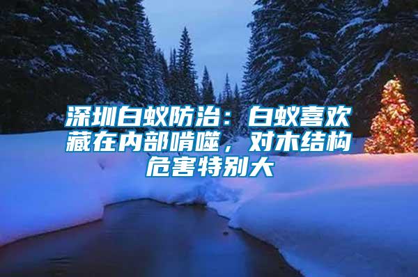 深圳白蟻防治：白蟻喜歡藏在內(nèi)部啃噬，對(duì)木結(jié)構(gòu)危害特別大